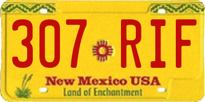NM license plate 307RIF