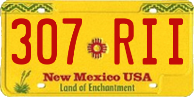 NM license plate 307RII