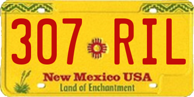 NM license plate 307RIL