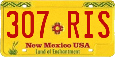NM license plate 307RIS