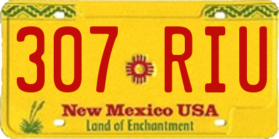 NM license plate 307RIU