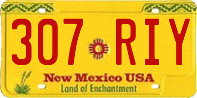 NM license plate 307RIY