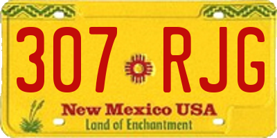 NM license plate 307RJG