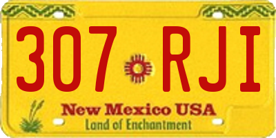 NM license plate 307RJI