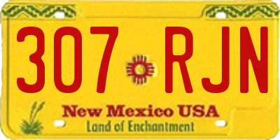 NM license plate 307RJN