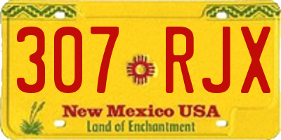 NM license plate 307RJX