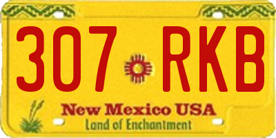 NM license plate 307RKB
