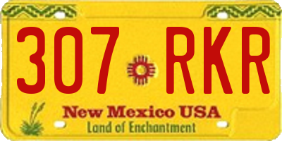 NM license plate 307RKR