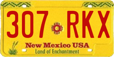 NM license plate 307RKX