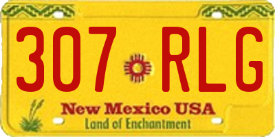 NM license plate 307RLG