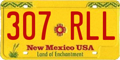 NM license plate 307RLL