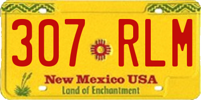 NM license plate 307RLM