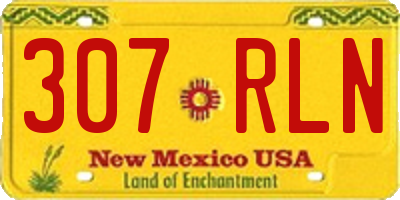 NM license plate 307RLN