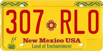 NM license plate 307RLO