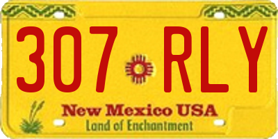 NM license plate 307RLY