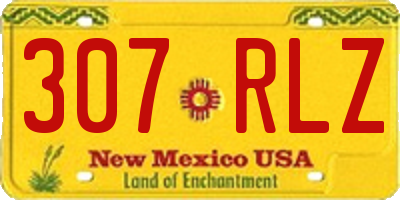 NM license plate 307RLZ
