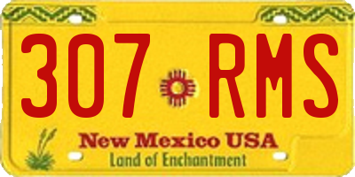 NM license plate 307RMS