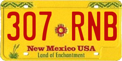 NM license plate 307RNB