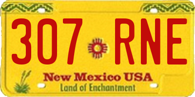 NM license plate 307RNE