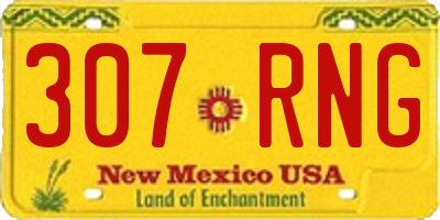 NM license plate 307RNG