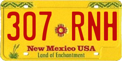 NM license plate 307RNH