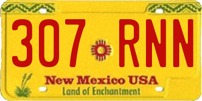 NM license plate 307RNN