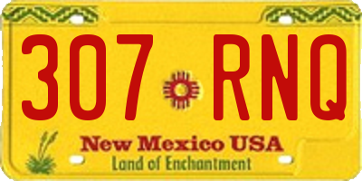 NM license plate 307RNQ