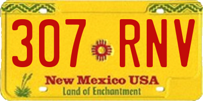 NM license plate 307RNV