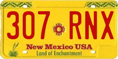 NM license plate 307RNX