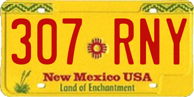 NM license plate 307RNY