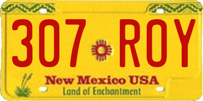 NM license plate 307ROY
