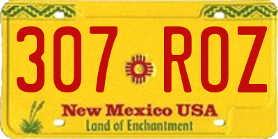 NM license plate 307ROZ