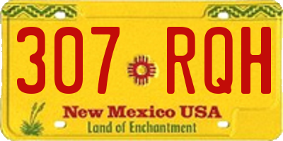NM license plate 307RQH