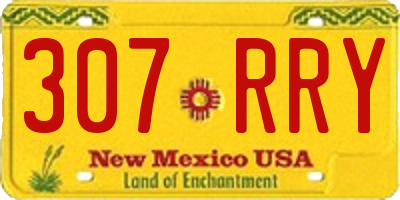 NM license plate 307RRY