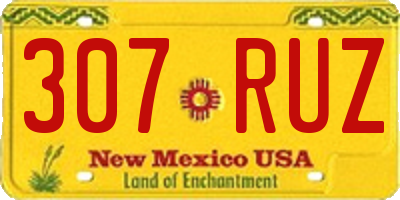 NM license plate 307RUZ