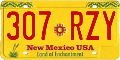 NM license plate 307RZY