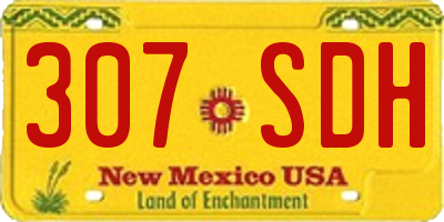 NM license plate 307SDH