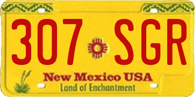 NM license plate 307SGR