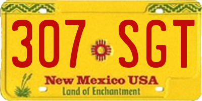 NM license plate 307SGT