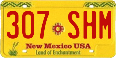 NM license plate 307SHM