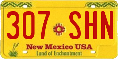 NM license plate 307SHN