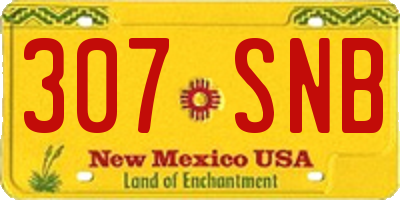 NM license plate 307SNB