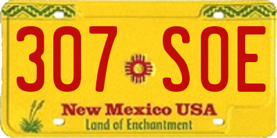 NM license plate 307SOE