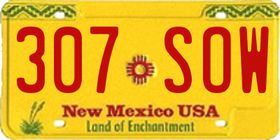NM license plate 307SOW