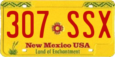 NM license plate 307SSX