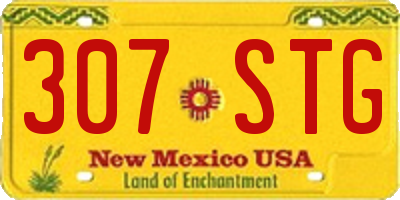 NM license plate 307STG