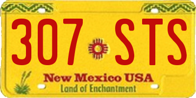 NM license plate 307STS