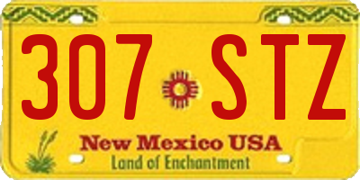 NM license plate 307STZ