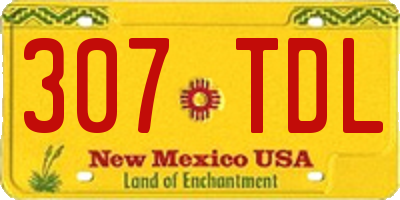 NM license plate 307TDL