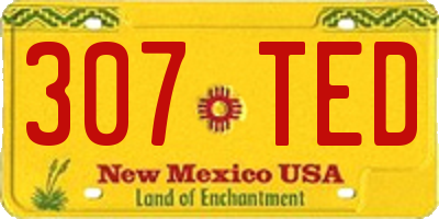 NM license plate 307TED